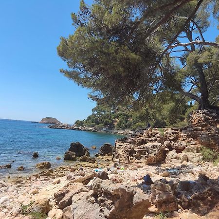Charmant Studio 2A4 Pers Avec Jardin Et Place De Parking Situe A 5 Min A Pied De La Mer Bandol Exterior foto