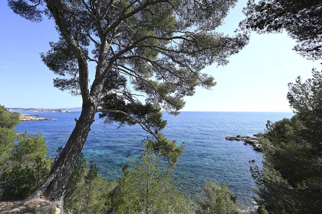 Charmant Studio 2A4 Pers Avec Jardin Et Place De Parking Situe A 5 Min A Pied De La Mer Bandol Exterior foto